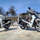 대림카모터스 이미지