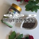 건강나라 - 서귀포시 홍중로 74 | 술 좋아하는 부부가 건강관리 시작하며 챙긴 동의한약나라 통통환 솔직후기