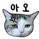 발리포차