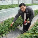 연무농장 이미지