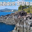 자유여행사 주식회사
