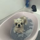 쭌이하우스 이미지