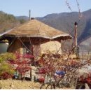 신월민박 이미지