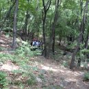 정상현농장 이미지