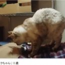 행복여관 이미지