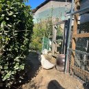 내동농장 이미지