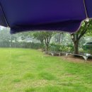 안정환의바글바글 이미지