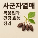 열매약국 | 사군자열매 복용법과 건강 효능 정리