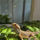 해피주 수원점 이미지