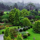 더슬로우펜션 이미지