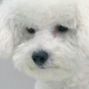 자매상회 이미지