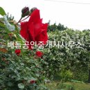 구례공인중개사사무소 이미지