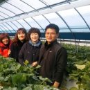 미대농장 이미지