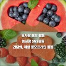 [충청남도, 충남경제진흥원] 2020년 농사랑 온라인 서포터즈 및 운영단체 모집
