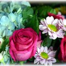 순복음교회 성동성전 이미지