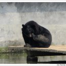 계림산장 이미지