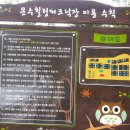 문수힐링피크닉장 이미지