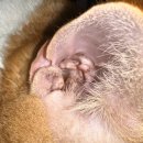 더블리스동물의료센터 이미지