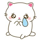 리조트휘트니스판교