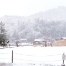 (주)교보문고
