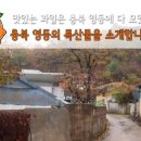 [영동 특산물]맛있는 과일은 충북 영동에 다 모였다?