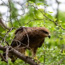 문 닫고 들어간 자녀의 마음 문열기 | 프락치의 성장기 <없는 사람>