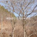 보성목장 이미지