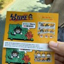 양재점 글라스박스 | [26년6월] 노묘들과 함께하는 궁디팡팡캣페스타(26.06.13) AT센터 방문 후기