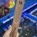 큰바다활어 - 시흥시 | 삼척 오징어회 맛집 추천! 중앙시장에서 바로 떠주는 활오징어, 바다회활어 솔직후기