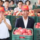 청과물처리장 이미지