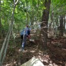 청미래 농장 이미지