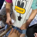 해빛유치원 이미지