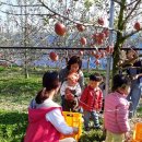 드림빌사과테마공원마을 이미지