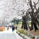 서산터널 화장실 이미지