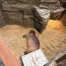 동물원 | [실내 동물원] 청주 쥬니멀 동물원 후기, 대전 근교 데이트하기 좋은 장소!