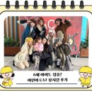 장수어린이공원 | 아이와 가볼만한 공연｜오리지널 어린이 CAT 가족뮤지컬 솔직후기