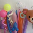 사라앤마르코 이미지