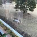 보윤 스테이 | 홍법사 템플스테이