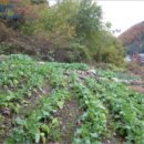 백둔리보건진료소 이미지