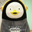 오리쌈밥 네이버블로그