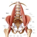 온스바디 | [공지] 위례 재활 PT, 병원에선 이상 없다고 하지만 허리가 계속 아픈 이유 한 가지