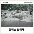 그린트리영어 | 화담채 후기 예약방법 소요시간 유모차 카페