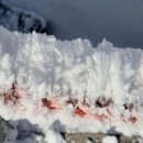 길머리 공원 이미지