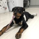 25시 죽곡동물병원 이미지