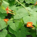 중방콘크리트 이미지