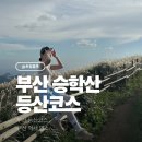 정각사입구 | 승학산 등산코스 부산 억새 군락지 명소 최단거리 주차장