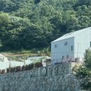 하평리 | [청도여행]청도 돌담숲 글램핑 솔직후기 가족여행 커플여행 우정여행 추천