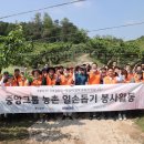 중앙그룹, 임직원 농촌 봉사활동…홍정도 사장 참여 이미지