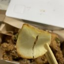 바른치킨 이미지