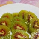 탁이농장 이미지